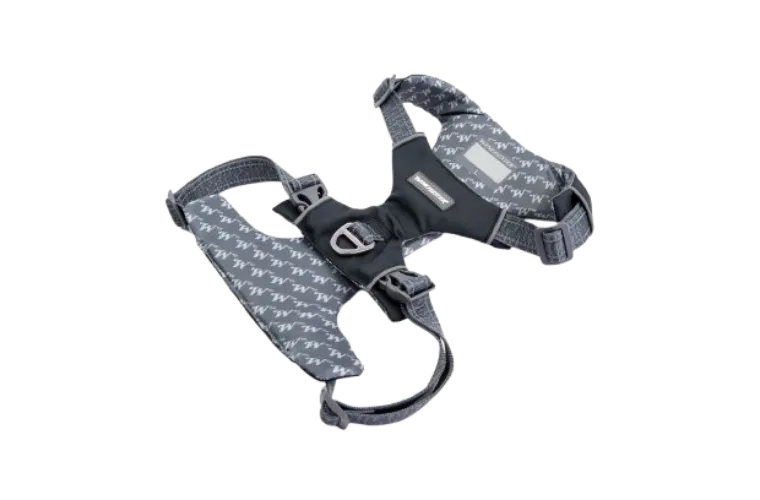 4uWinchester-No-Pull-Padded-Dog-Harness_1